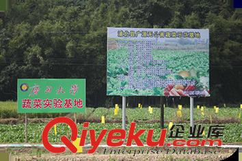 無公害蔬菜它到底有什么了不起，身價(jià)居然比普通蔬菜要高？