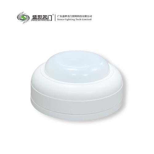 616X A型应急灯集电集控吸顶灯