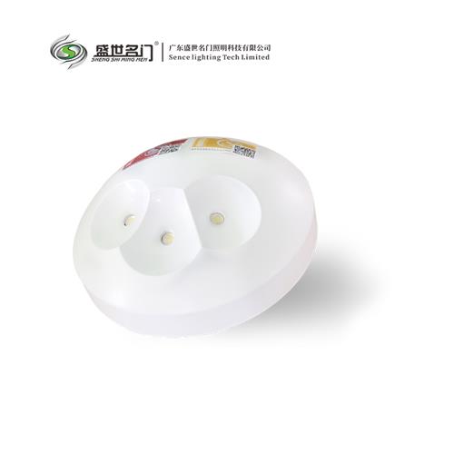612T A型应急灯集电集控壁灯