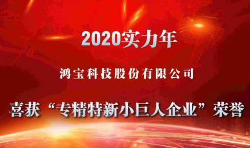 鴻寶科技喜獲工信部專精特新“小巨人”企業(yè)”