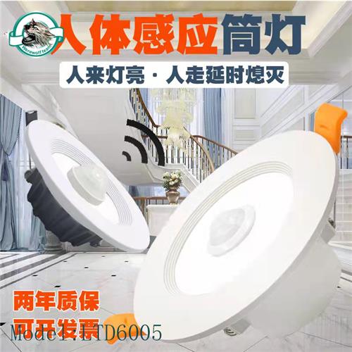 LTD6005筒灯