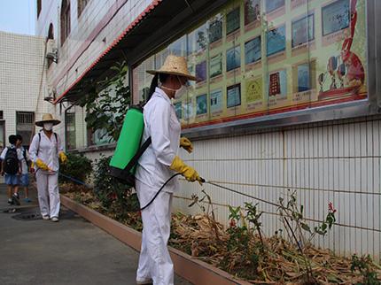 除四害白蚁防治公司告诉您有害生物防治服务工作流程有哪些