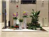 中山市辦公室綠植花卉租賃