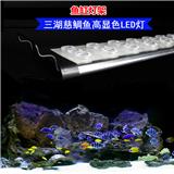 魚缸水族器材的尺寸