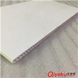 無(wú)機(jī)多孔平板陶瓷膜應(yīng)用污水處理提標(biāo)