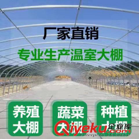 河北大棚廠家主營溫室大棚工程及溫室配件