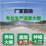 河北大棚廠家主營(yíng)溫室大棚工程及溫室配件