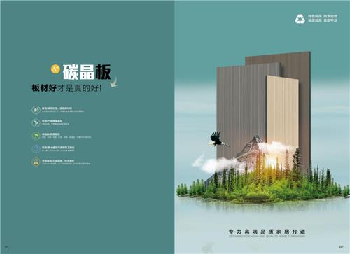碳晶板-多层板时尚木门