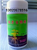 江蘇草莓葉面噴施強力生根劑