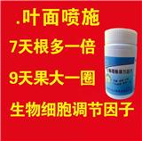 遼陽花生膨果專用葉面噴施肥價格