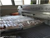 為什么要選擇德捷力獅頭鵝速凍機？