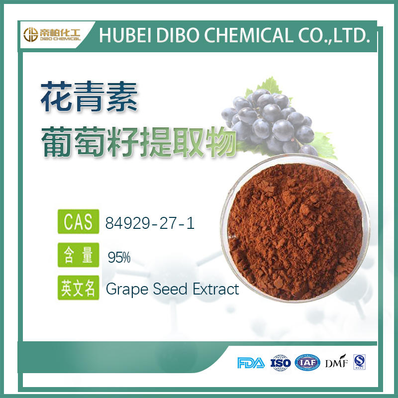 葡萄籽提取物原料廠  花青素  95%  可提供樣品