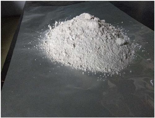 聚磷菌