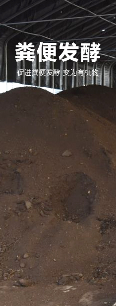 秸秆发酵