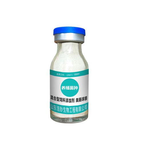 养殖菌种鸡鸭鸽禽用益生菌猪牛羊兔兽用饮水保健液em菌原种 
