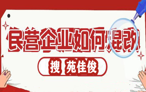 国企混改私企混改国企名下成为国有企业