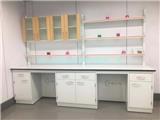 佛山凈化工作臺全鋼通風柜氣瓶柜定制防酸堿實驗臺化驗室操作臺加工