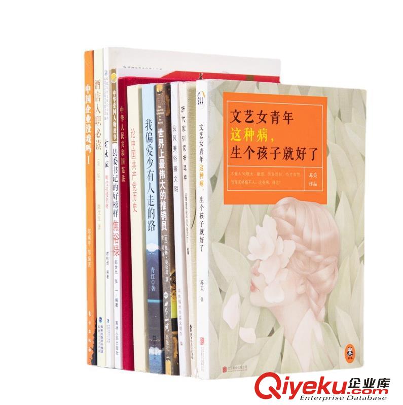 正版二手圖書批發 文學小說勵志職場類