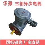 各種防爆電機(jī)工作原理有哪些?