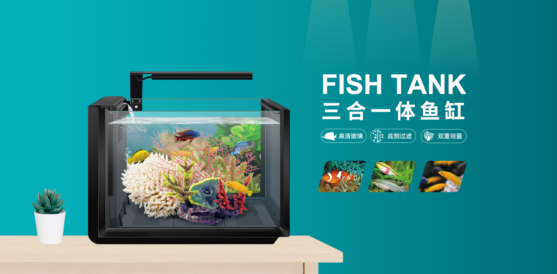 Fish Tank 三合一体鱼缸 过滤和照明 鱼缸300S