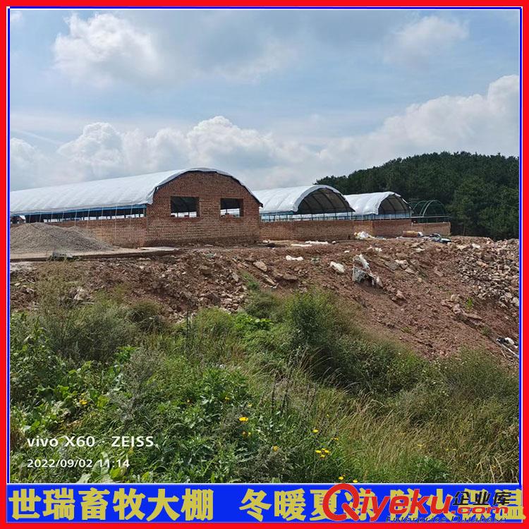養牛場牛舍大棚施工 肉牛養殖大棚建設 牛舍大棚搭建