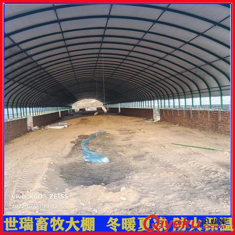 養(yǎng)豬場(chǎng)豬棚建設(shè) 黑豬養(yǎng)殖大棚搭建 豬舍大棚施工方法