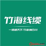 竹海電線電纜有限公司簡介