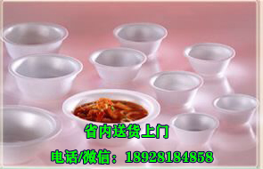 塑料制品,環(huán)保飯盒餐盒 泡沫飯盒 一次性飯盒  中山創(chuàng)新制品一次性飯盒