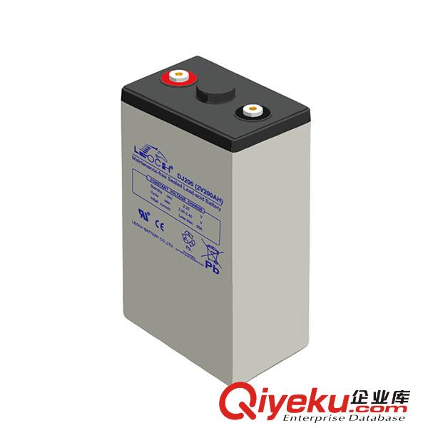 沈陽理士蓄電池DJ100原始圖片2