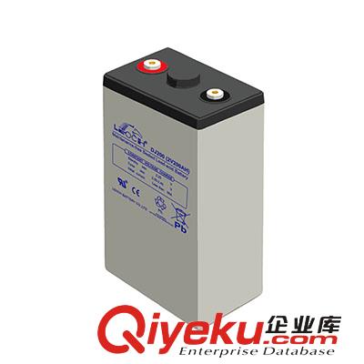 沈陽理士蓄電池DJ100原始圖片3