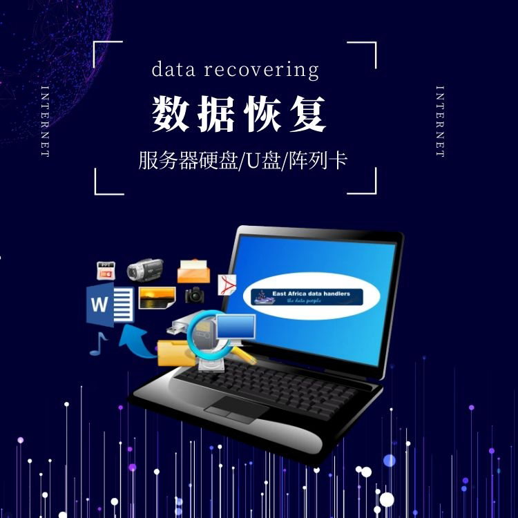 服務(wù)器數(shù)據(jù)恢復(fù) 硬盤.U盤數(shù)據(jù)恢復(fù).陣列卡數(shù)據(jù)恢復(fù)