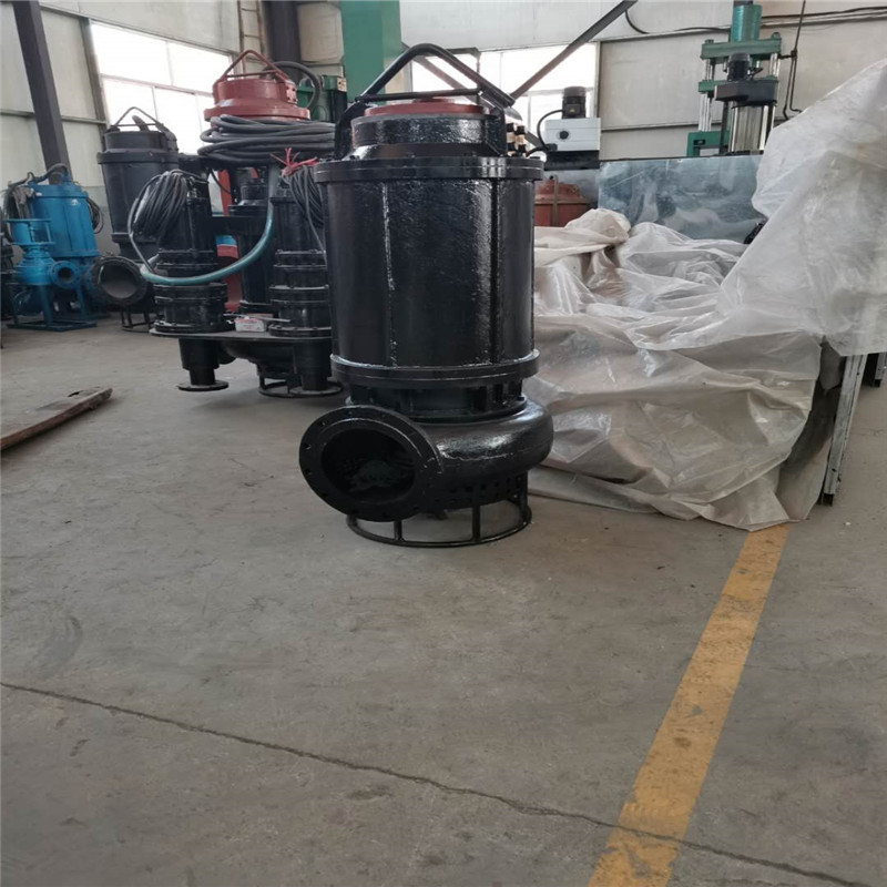 火電廠沉淀池中的煤渣清理用的潛水煤渣泵原始圖片3