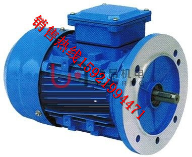 鋁殼電磁制動(dòng)三相異步電動(dòng)機(jī)YEJ100L1-4原始圖片2