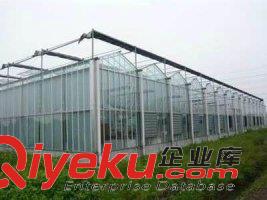 新疆溫室原始圖片2