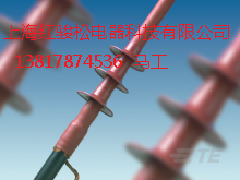 供應(yīng)瑞侃電纜終端頭10KV 35KV  APKT-10-1240  CSTI-35-9524等