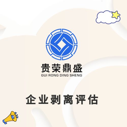 廣東省汕尾市資產(chǎn)剝離資產(chǎn)評估企業(yè)價值評估資產(chǎn)剝離