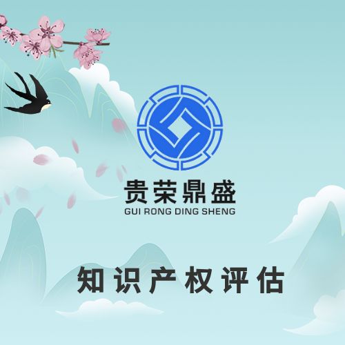 徐州市专利商标出资评估软著版权实缴评估知识产权评估