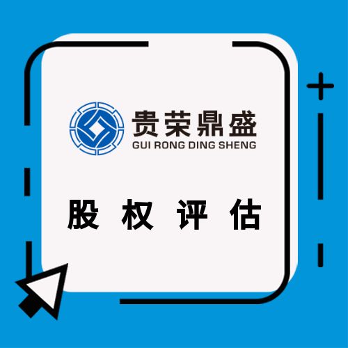 浙江省金華市企業價值評估凈資產評估資產評估原始圖片2