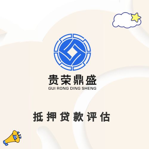 广东省肇庆市股权转让评估企业净资产评估企业价值评估