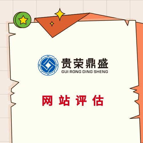 海南省?？谑芯W站評估APP評估營銷網絡評估