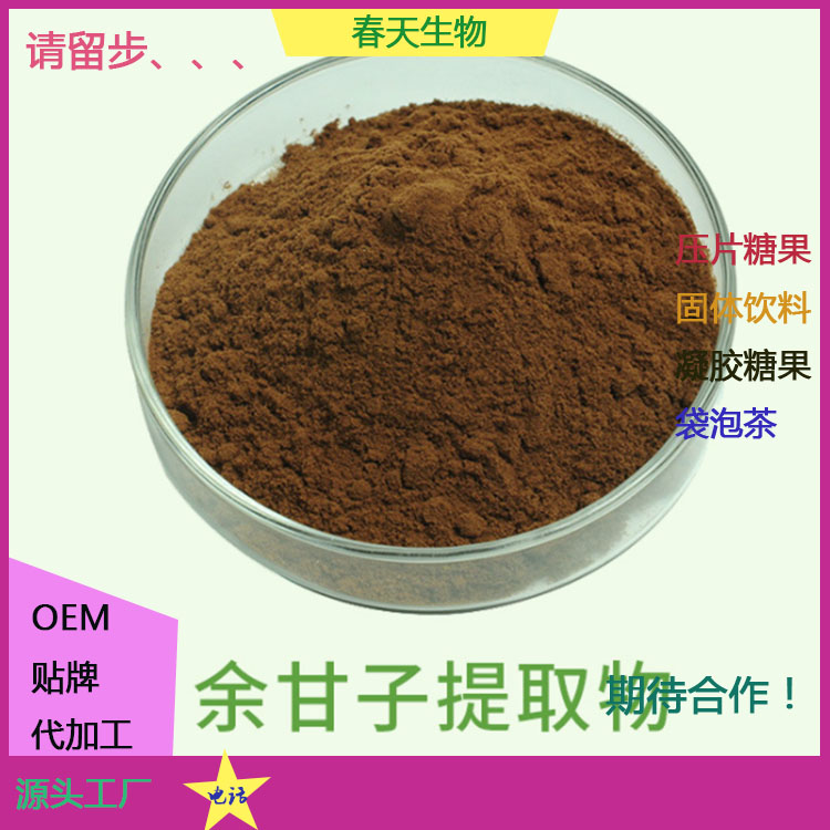 余甘子片貼牌OEM 壓片糖果代加工 片劑包衣 規格定制 來料加工