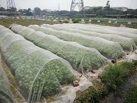 溫室大棚配件溫室大棚壓膜帶壓膜繩