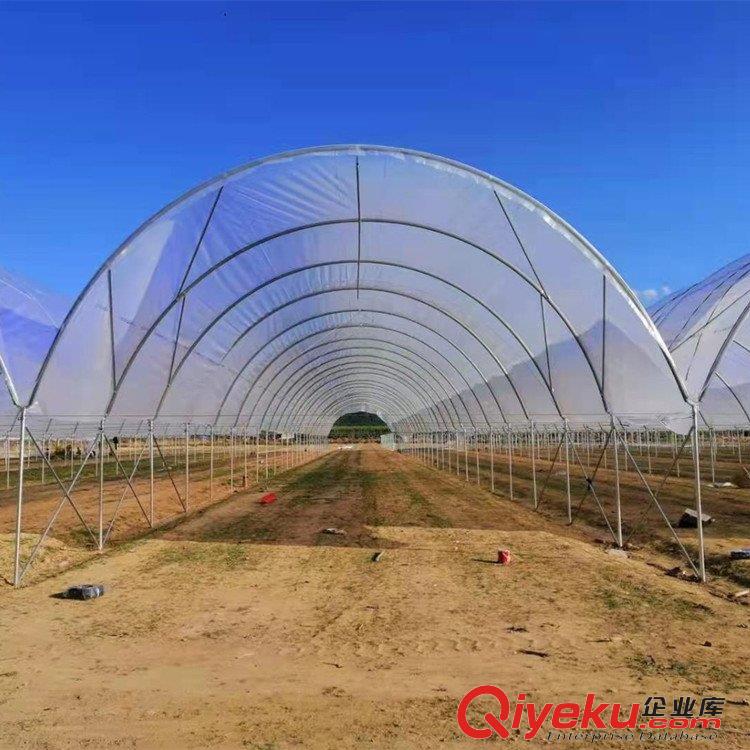 葡萄避雨棚櫻桃避雨棚藍莓避雨棚水果棚搭建施工及配套資材配件