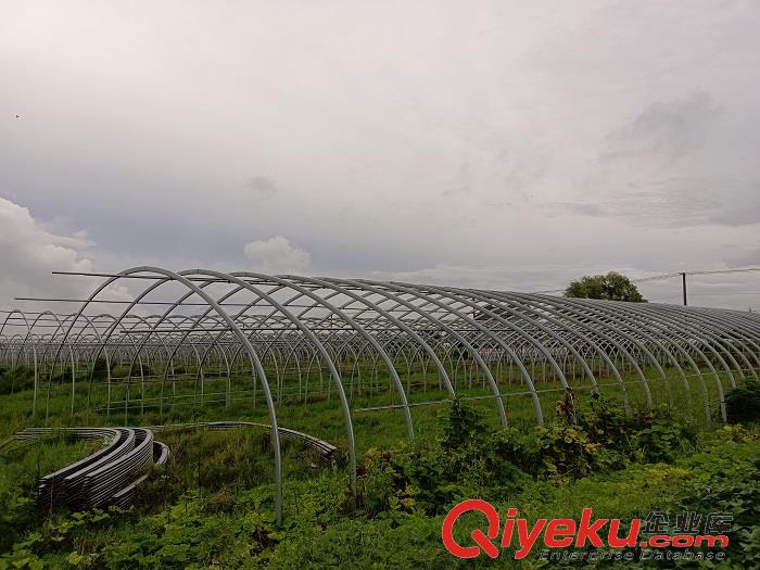 蔬菜種植養殖溫室大棚鋼材骨架定制溫室大棚施工整體材料