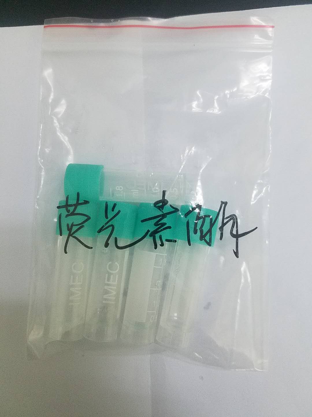 熒光素酶廠家現貨供應