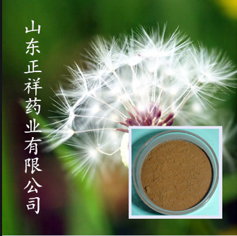 蒲公英沖飲品 固體飲料 源頭廠家 藥食同源 私人訂制 來料加工