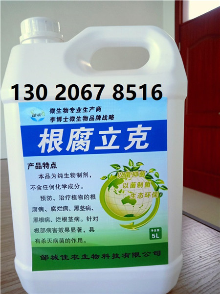 駐馬店花生枯黃生根用什么肥料好