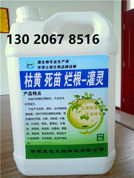 重慶供應佳農(nóng)枯黃死苗爛根一灌靈廠家直銷原始圖片2