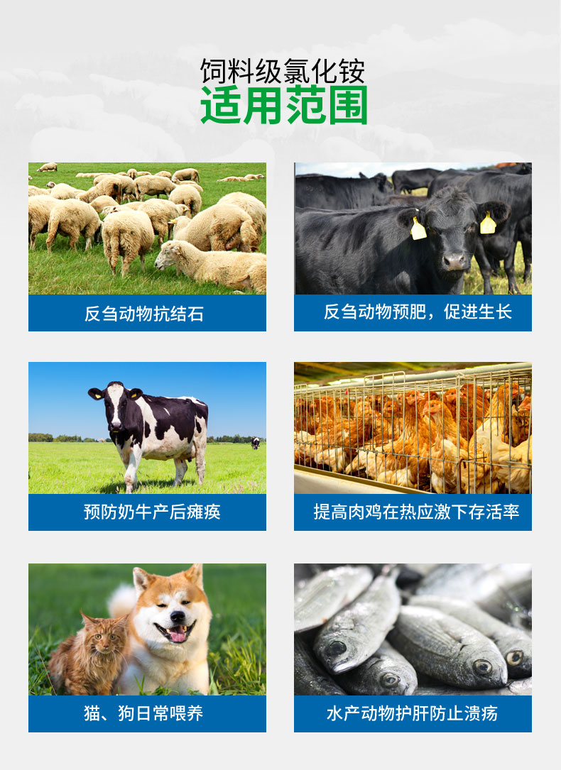 飼料級氯化銨 21年老品牌  品質保證