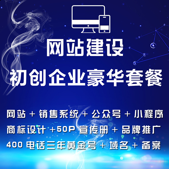 网站制作初创企业网站建设设计豪华套餐